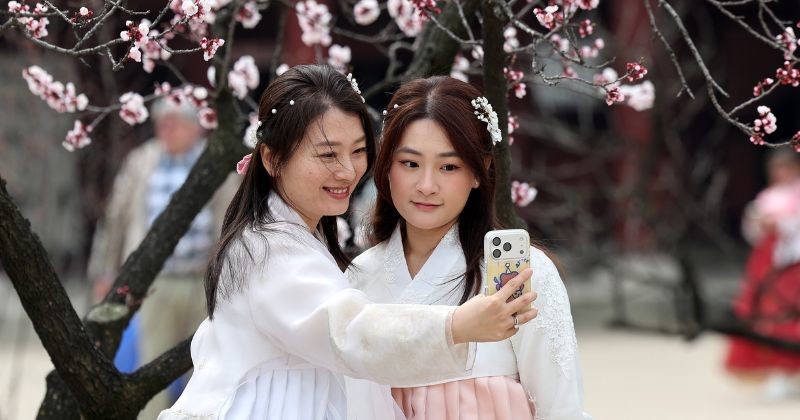 서울 종로구 경복궁을 찾은 외국인관광객들이 봄꽃을 배경으로 추억을 남기고 있다. / 뉴스 1