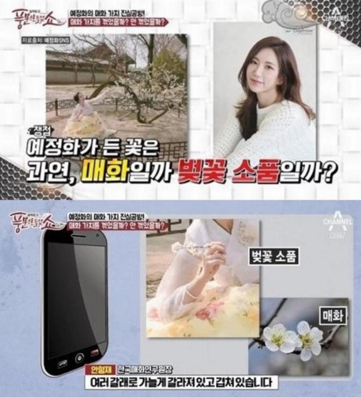 2017년 4월 예정화는 전주 경기전에 있는 수령 100년이 넘은 매화나무 가지를 꺾었다는 의혹에 휩싸이며 강도 높은 비판을 받았다. 예정화는 이 논란 이후 SNS 업데이트를 전면 중단했다. 그러나 사진 속 나뭇가지 정체를 두고 전문가의 판단이 나오면서 상황이 달라졌다. 안형재 한국매화연구원장은 예정화가 들고 있던 나뭇가지가 매화가 아닌 벚꽃나무라고 밝혔다. 안 원장은 '사진상으로 봤을 때는 벚꽃'이라며 '매화는 꽃잎이 일반적으로 둥근 형태로, 꽃잎이 서로 간격을 두고 피는 경향이 있다'고 설명했다. 이어 '사진 속 꽃은 여러 갈래로 가늘게 갈라져 있고 겹쳐져 있는데, 매화는 다섯 개의 꽃잎이 독립적'이라며 벚꽃나무임을 재차 강조했다. / 채널A ‘풍문으로 들었쇼’