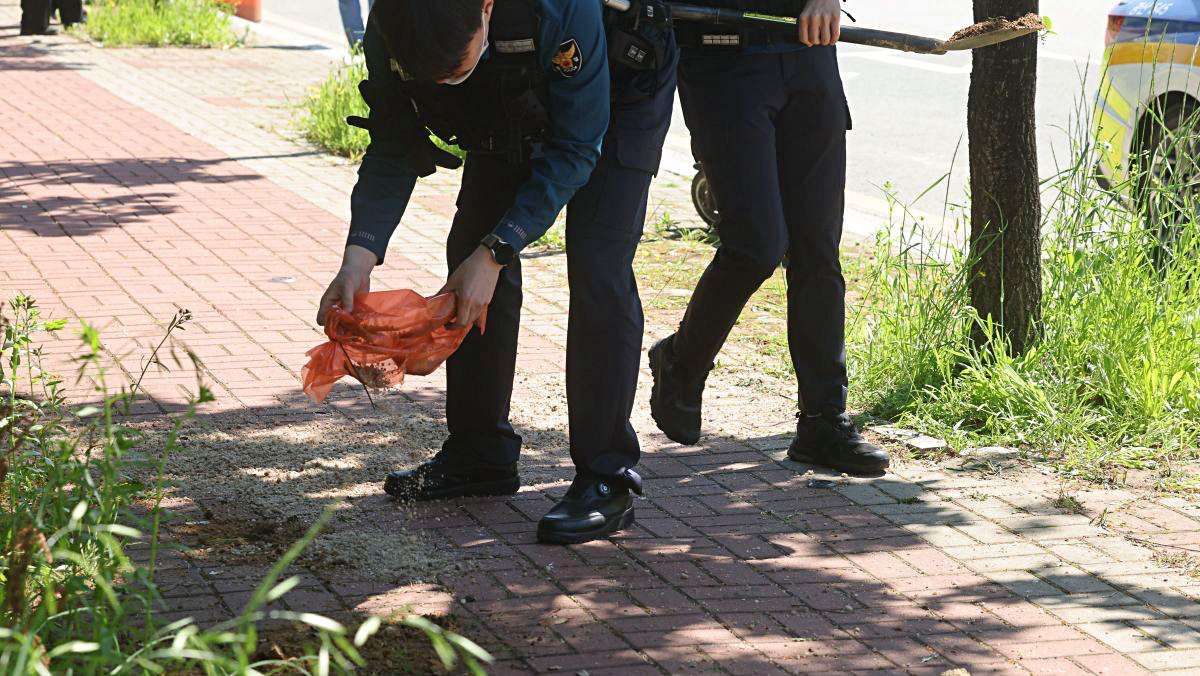 어린이날 새벽, 여고생 흉기로 찔러 죽였다…20대 남성 ‘긴급 체포’