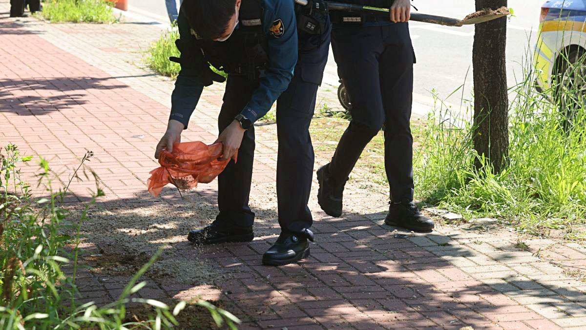 5일 오전 광주 광산구 남부대 인근 도로에서 발생한 흉기 피습 현장에서 경찰이 수습 작업을 벌이고 있다. 이날 사건으로 여고생 1명이 숨지고 이를 돕던 남고생 1명이 다쳤다.  / 뉴스1