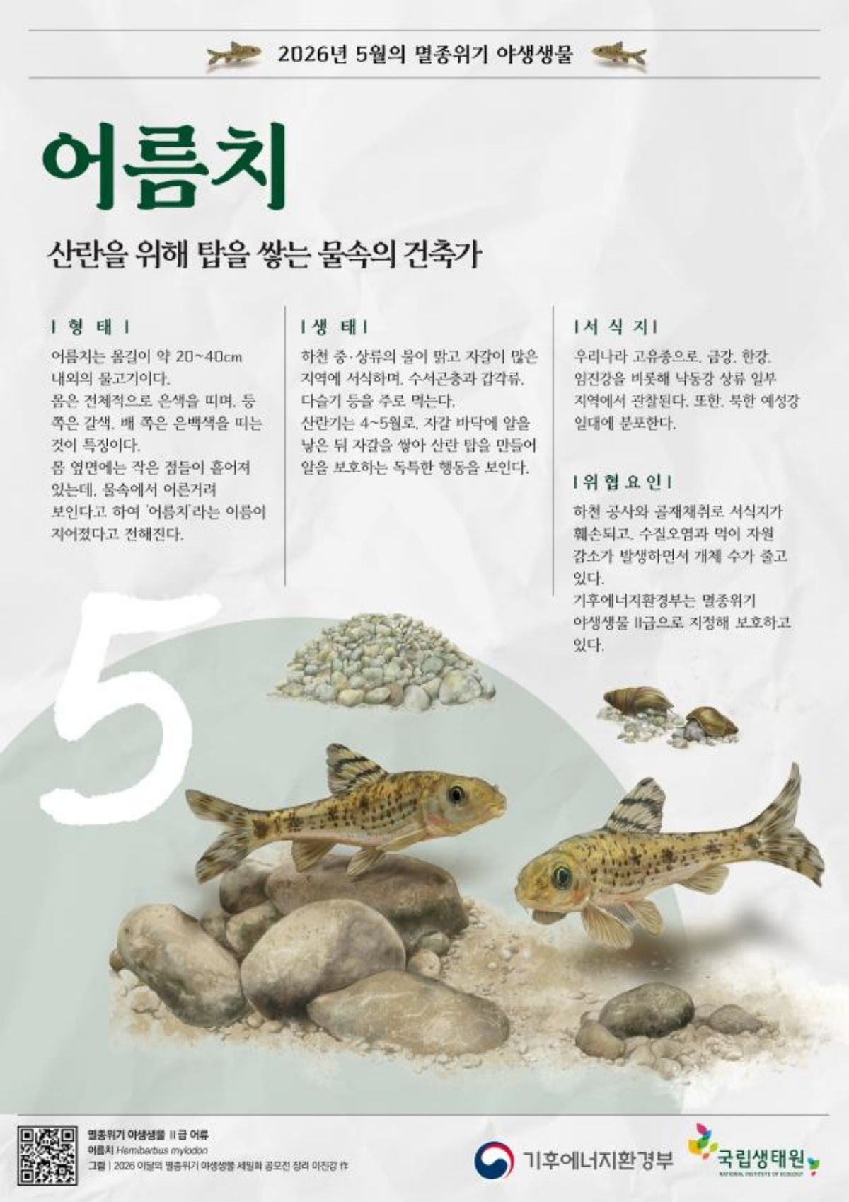 5월 멸종위기 야생생물 포스터. / 기후에너지환경부 제공