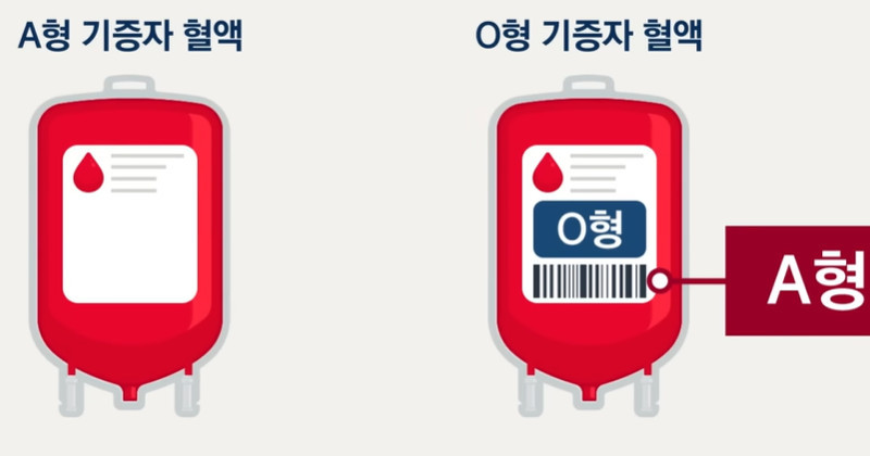 유튜브 'JTBC News'