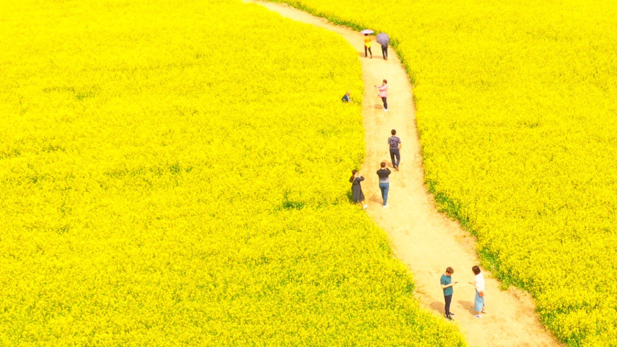 구리시민한강공원. / 뉴스1