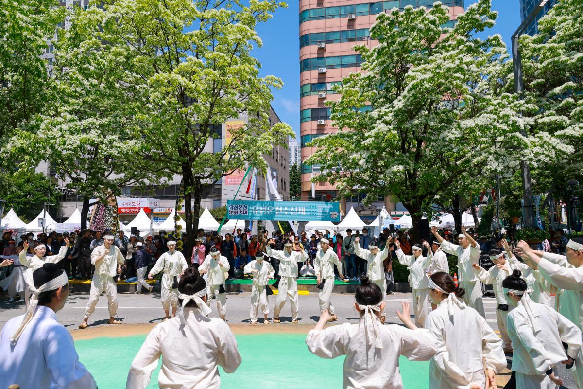 유성온천문화축제, 유림공원서 개막…‘마음 치유’ 테마 강화