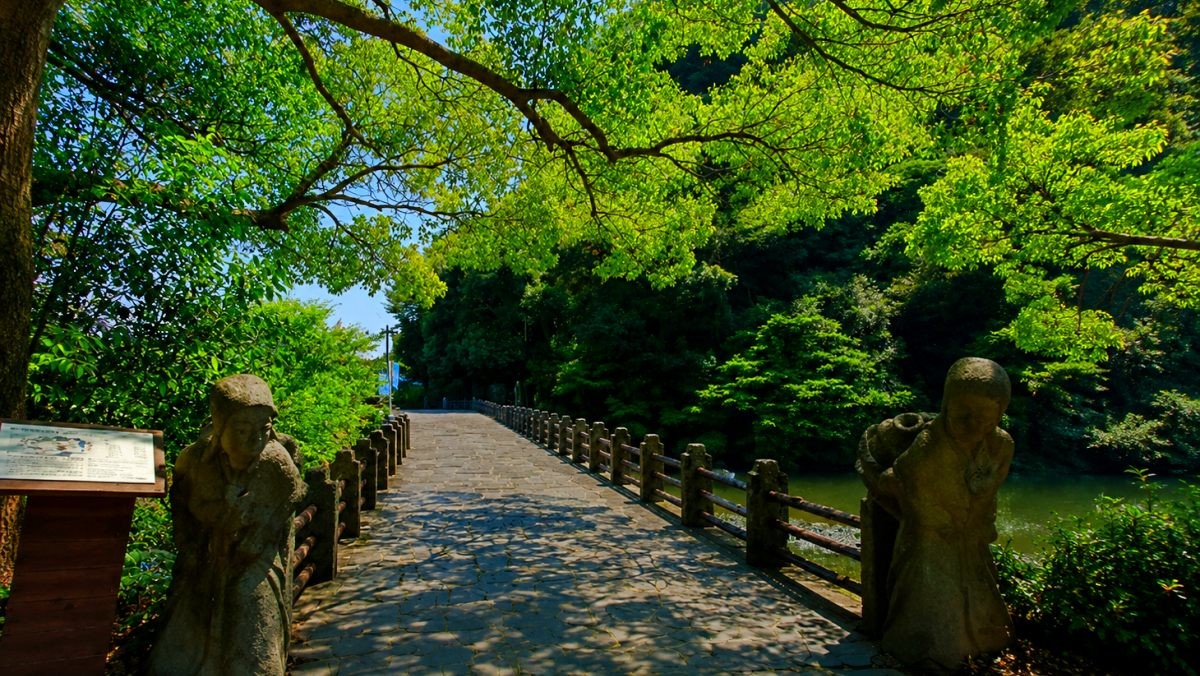 천지연폭포 산책길 초입. / 제주도 공식 블로그, AI