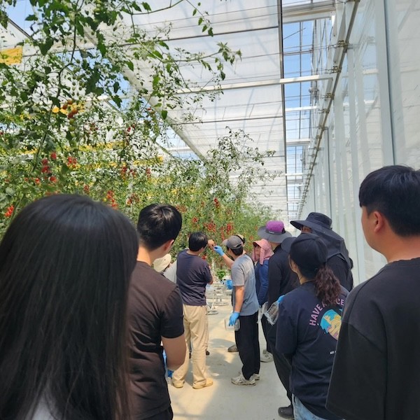 새내기 청년농 육성 / 고창군