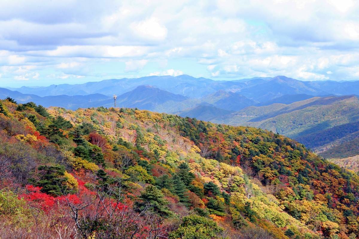태백산 풍경 / 연합뉴스