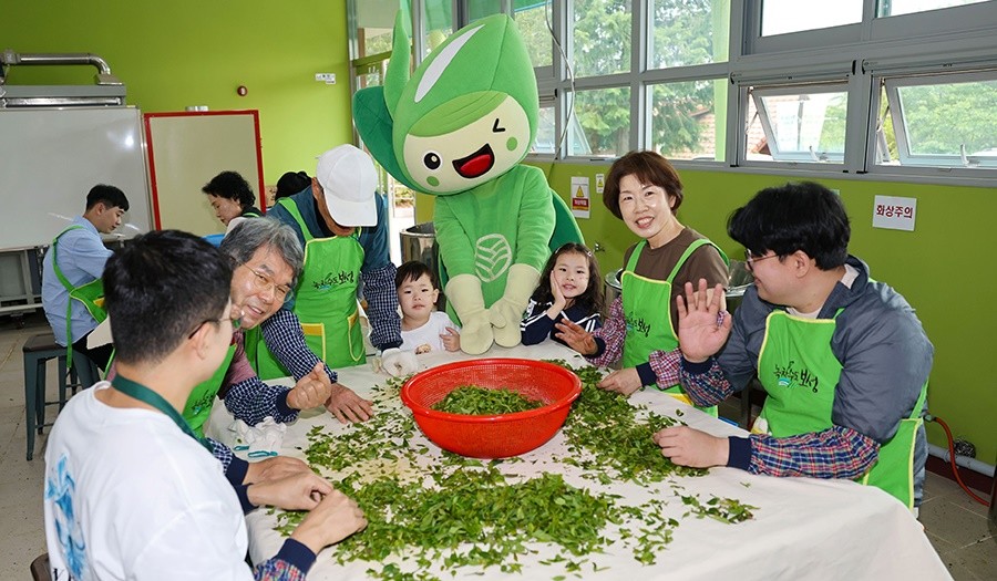 제49회 보성다향대축제에서녹차몬과 함께 차를 덖어있다./ 보성군