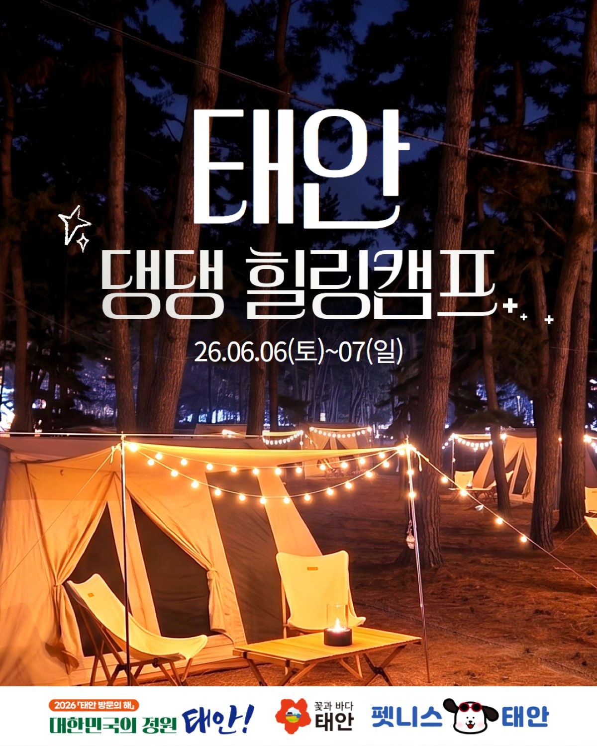 태안 댕댕 힐링캠프 홍보물 / 태안군
