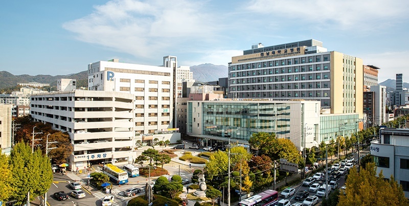 "임상시험 마루타는 없다"… 전남대병원, 깐깐한 국가 생명윤리 검증 또 뚫었다