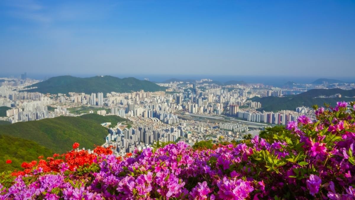 부산 전경 / Mrhuynh81-shutterstock.com