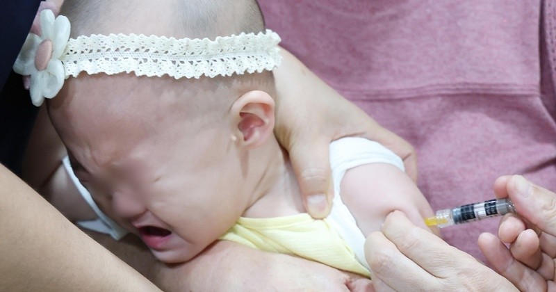 기사의 이해를 돕기 위한 사진 / 뉴스1