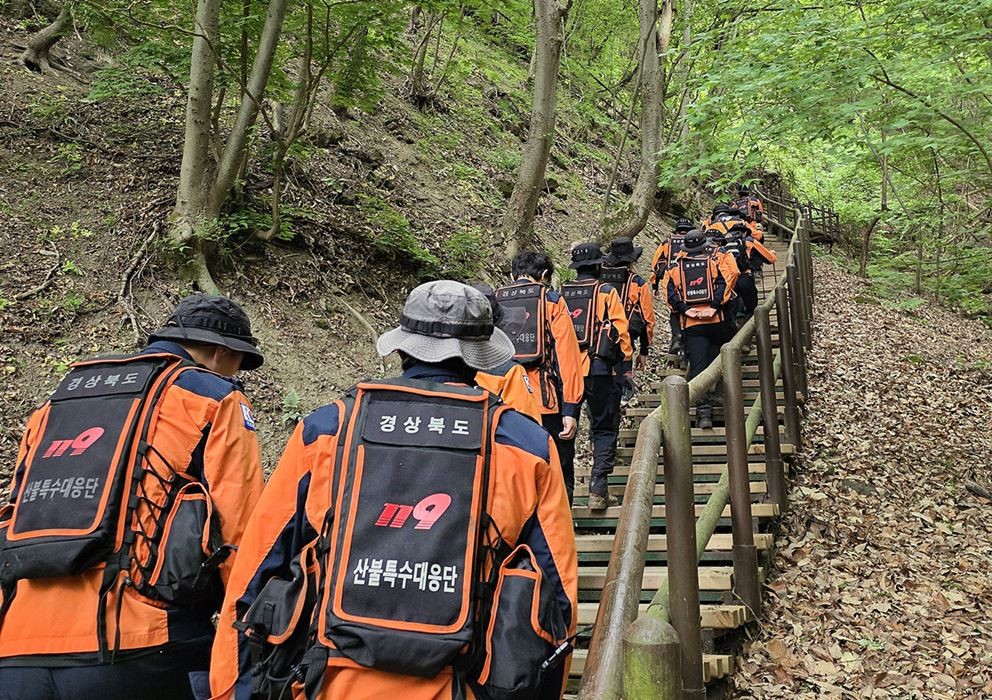12일 오전 경북 산불특수대응단을 비롯한 경북소방 관계자들이 청송군 주왕산국립공원에서 실종된 13세 초등학생을 찾기 위한 수색을 재개하고 있는 모습 / 뉴스1