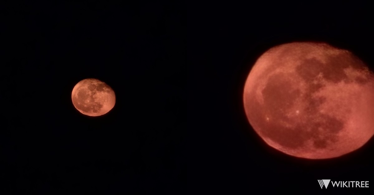 지난 4일 밤 인천 자월도에 붉은 달이 떠오르는 모습. 스마트폰 줌 기능으로 당겨서 찍은 모습 (사진에 색상 보정을 하지 않았음) / 위키트리