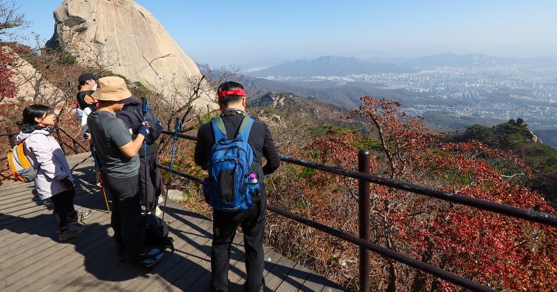 북한산 국립공원 백운대 탐방로에서 등산객들이 늦가을 정취를 즐기고 있다 / 뉴스 1