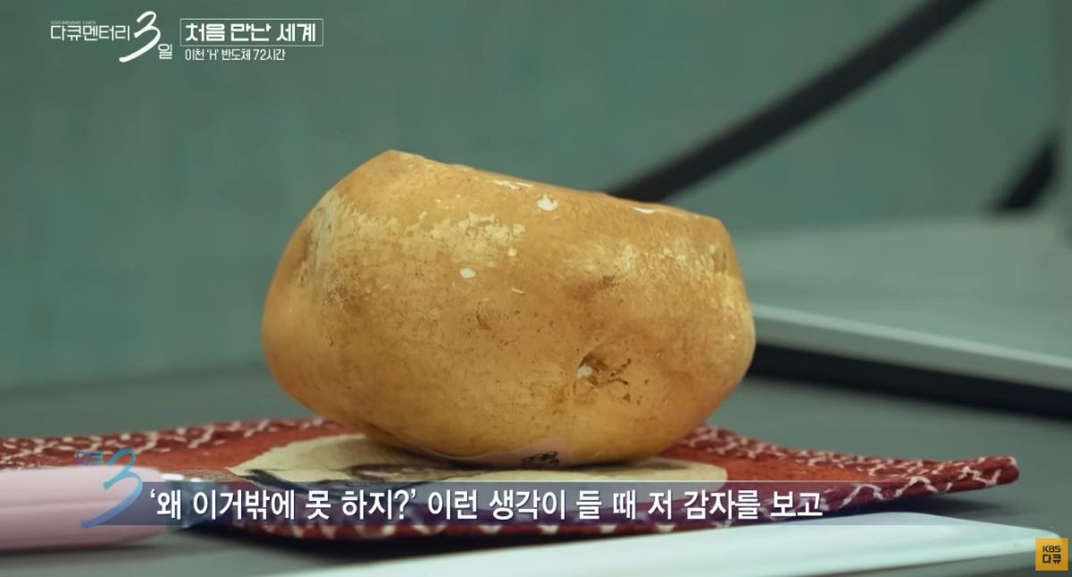 SK 하이닉스 직원 책상에 놓인 감자, 시선집중. / 유튜브 'KBS 다큐'