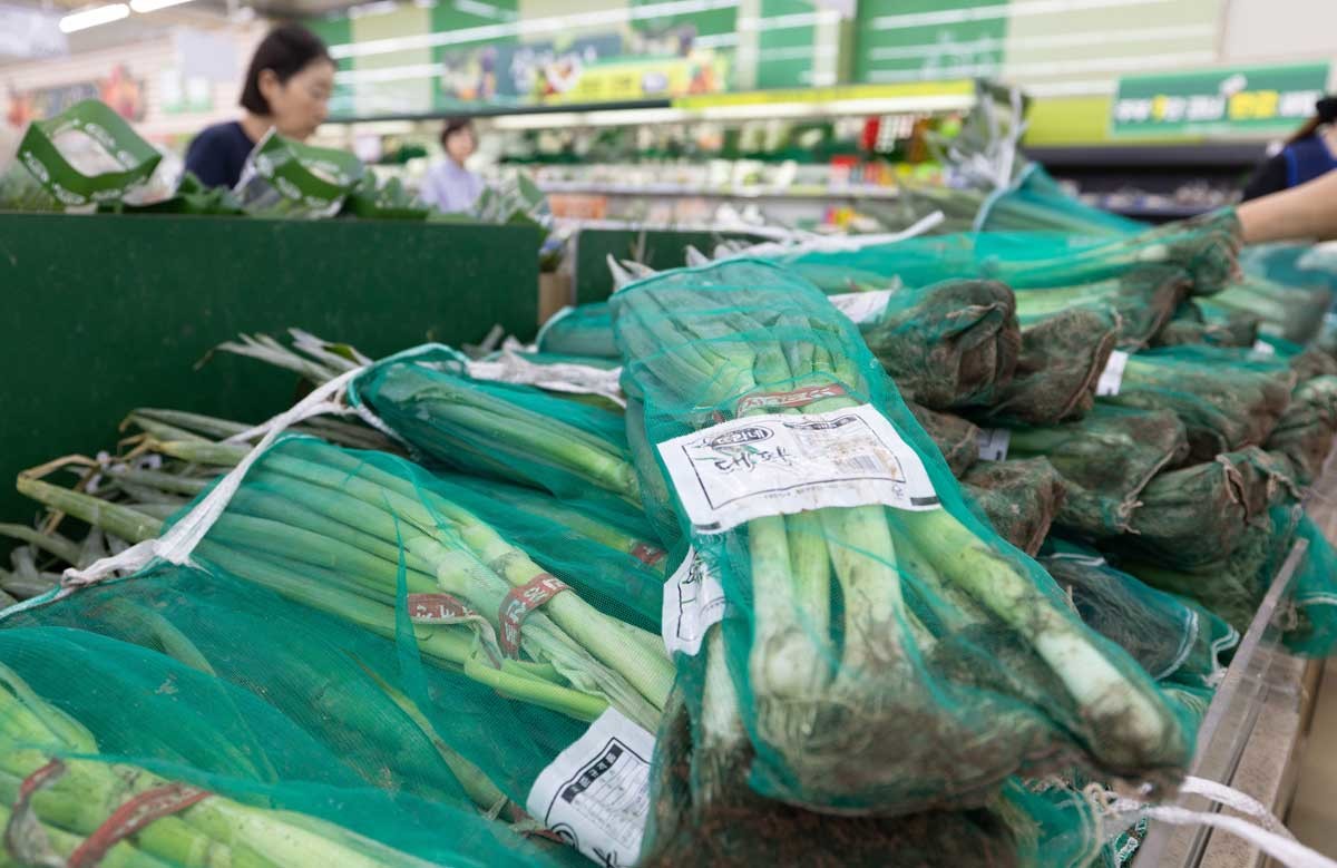 서울 시내의 한 대형 마트에 대파가 진열돼 있다. / 뉴스1