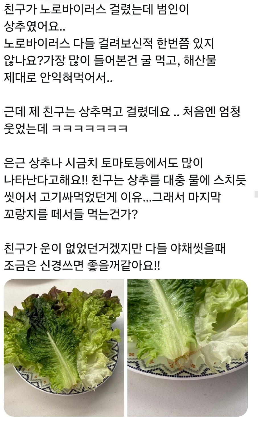 X에 노로바이러스 원인이 상추였다는 게시글이 올라와 화제됐다. / X캡쳐