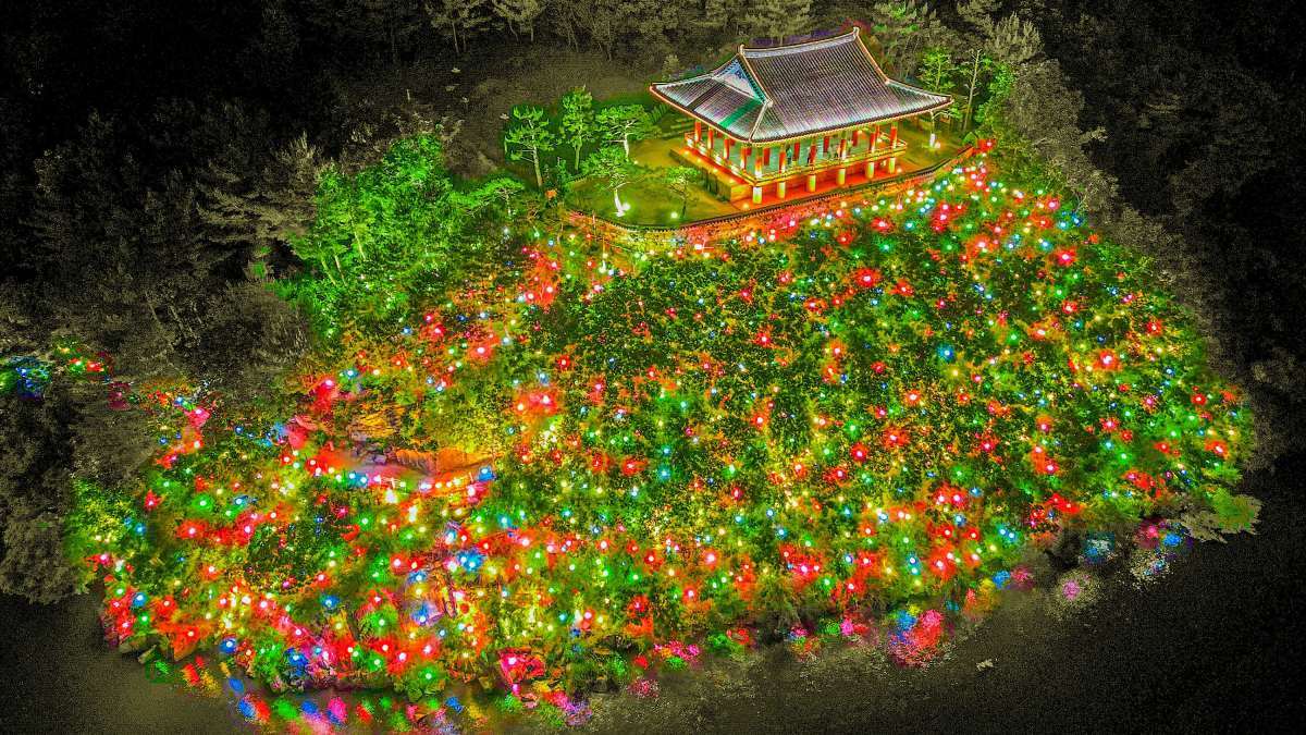 도심 한가운데서 무료로 이걸 볼 수 있다고?…오늘부터 드디어 시작된 '이 축제' 