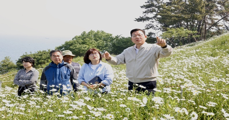 부안군, 변산마실길 샤스타데이지 개화 맞아 전략회의‧현장 점검 실시