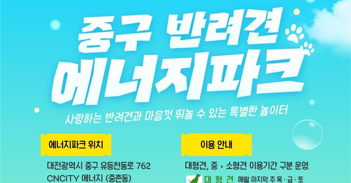 대전 중구 반려견 에너지파크, 여름맞이 환경 개선
