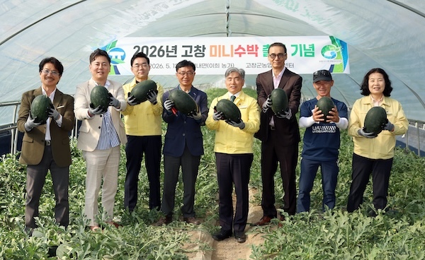 고창군, 미니수박 출하 시작..“전국 최대규모 미니수박 산지”