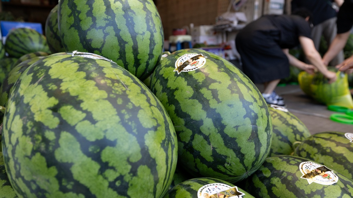 당도 높은 것만 골랐다…무더위 시작되자 롯데마트가 할인 시작한 '여름 대표 과일'