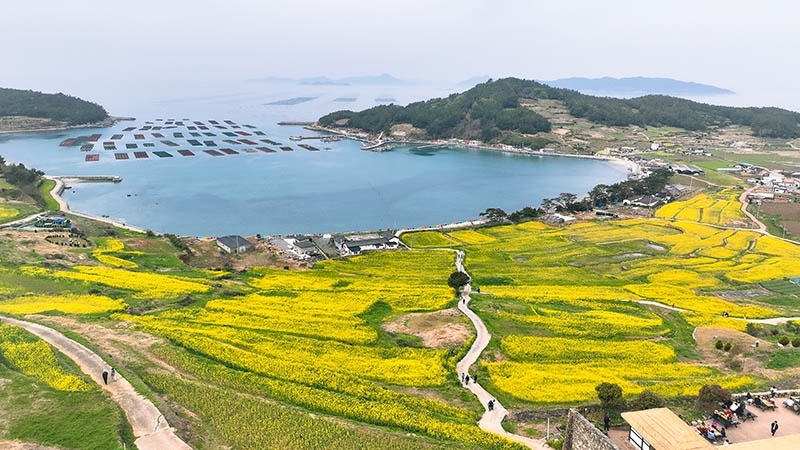 "발길 닿는 곳마다 힐링" 완도 청산도·보길도, '섬섬 걸을래' 공모사업 쾌거