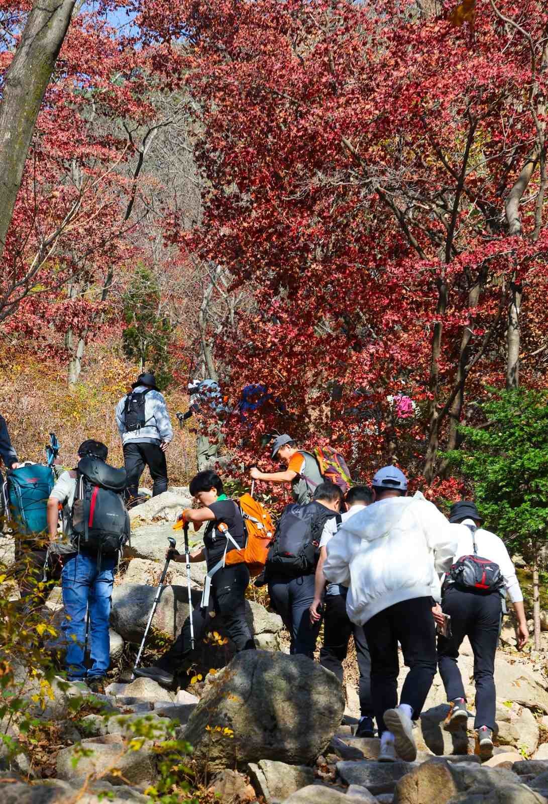 붉게 물든 단풍 사이로 많은 등산객들이 산을 오르고 있는 모습. / 뉴스1