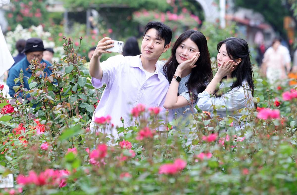 '아름다운 청춘' 제18회 중랑 서울장미축제 개막을 앞둔 12일 서울 중랑구 중랑장미카페 인근 장미터널에서 시민들이 기념촬영을 하고 있다. 제18회 중랑 서울장미축제는 15일 개막한다. / 뉴스1