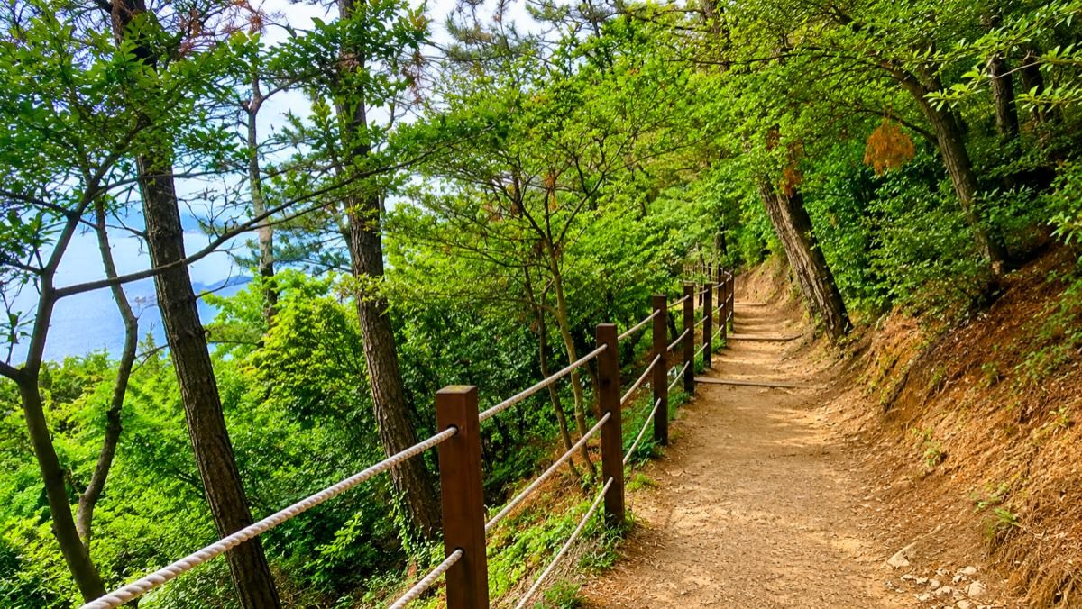 부산 암남공원 치유의 숲길. /부산시 공식 블로그, AI