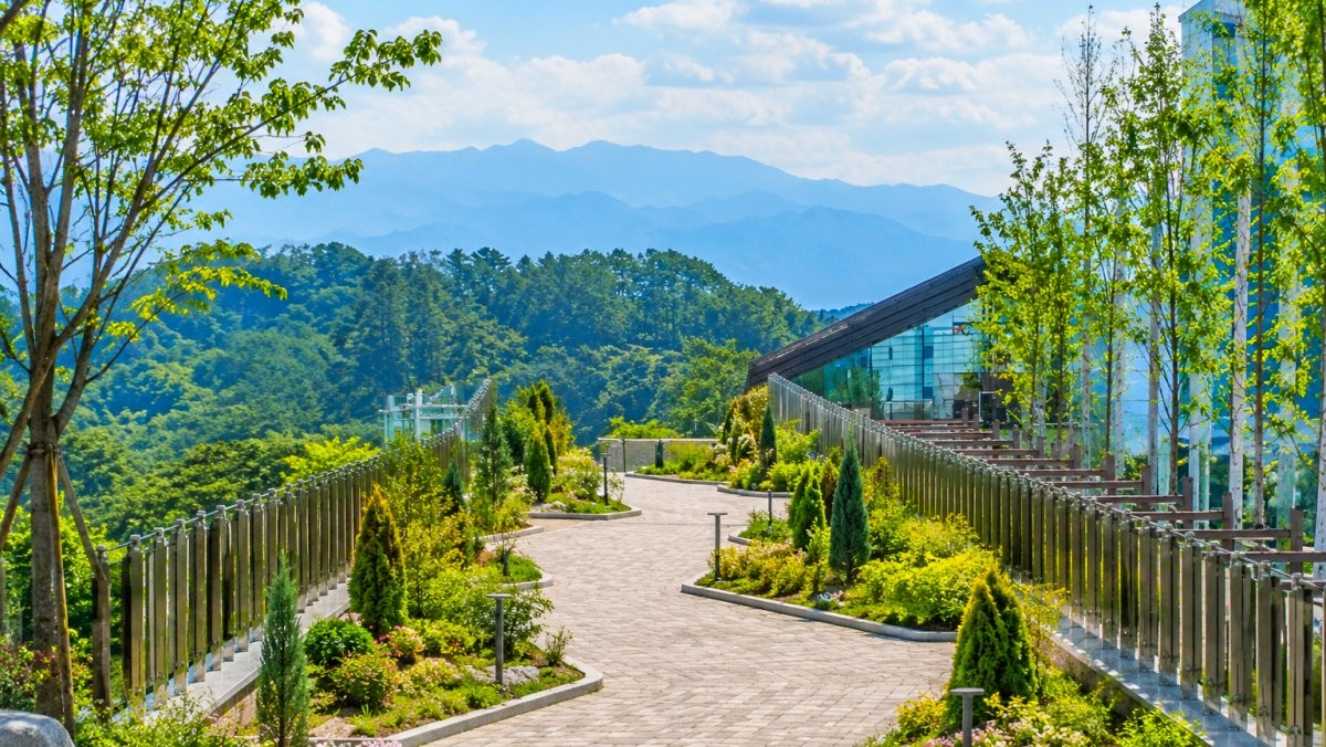 치악산 바람길숲. 기사 내용 토대로 AI툴 활용해 제작한 자료사진.