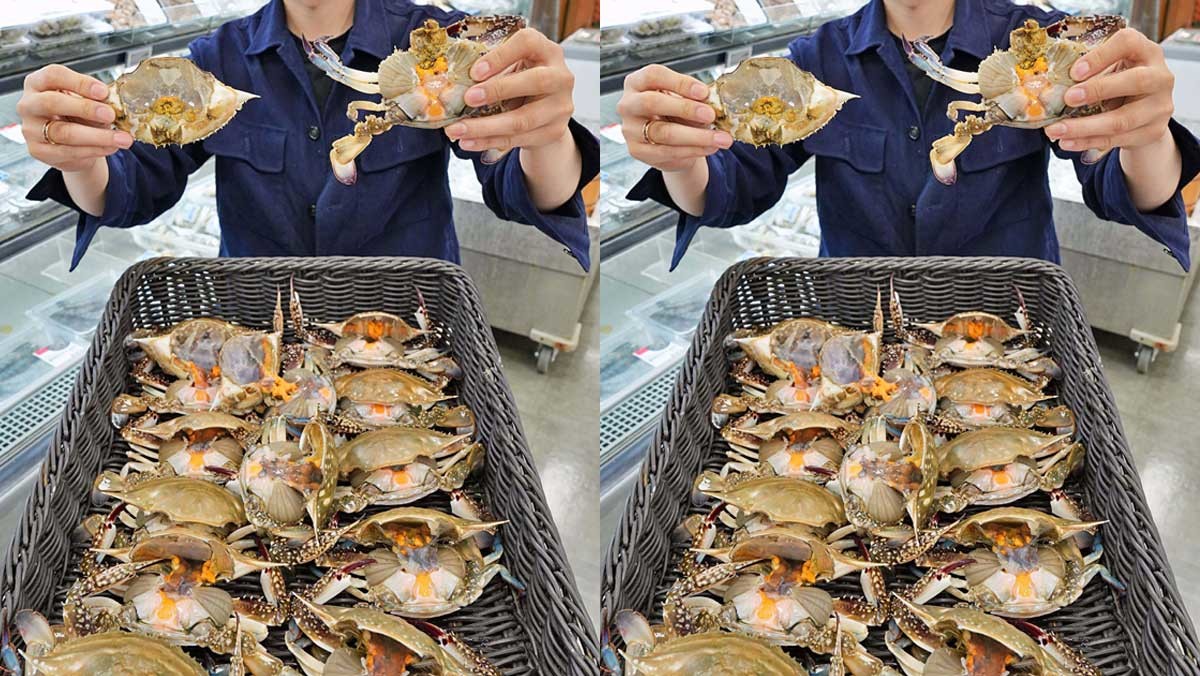 롯데마트가 오는 15일부터 17일까지 '알배기 암꽃게'를 한정 판매한다고 14일 밝혔다. 사진은 롯데마트 제타플렉스 잠실점 수산 매대에서 모델이 '알배기 암꽃게'를 선보이는 모습. / 뉴스1