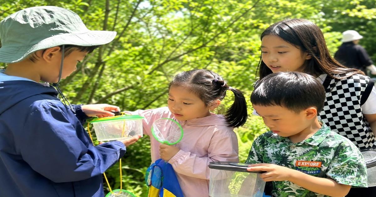 어린이들이 숲길과 잔디밭을 걸으며 메뚜기, 사마귀, 나비 등 다양한 곤충을 직접 찾아 관찰하는 방식으로 진행 / 사진제공=부산시설공단