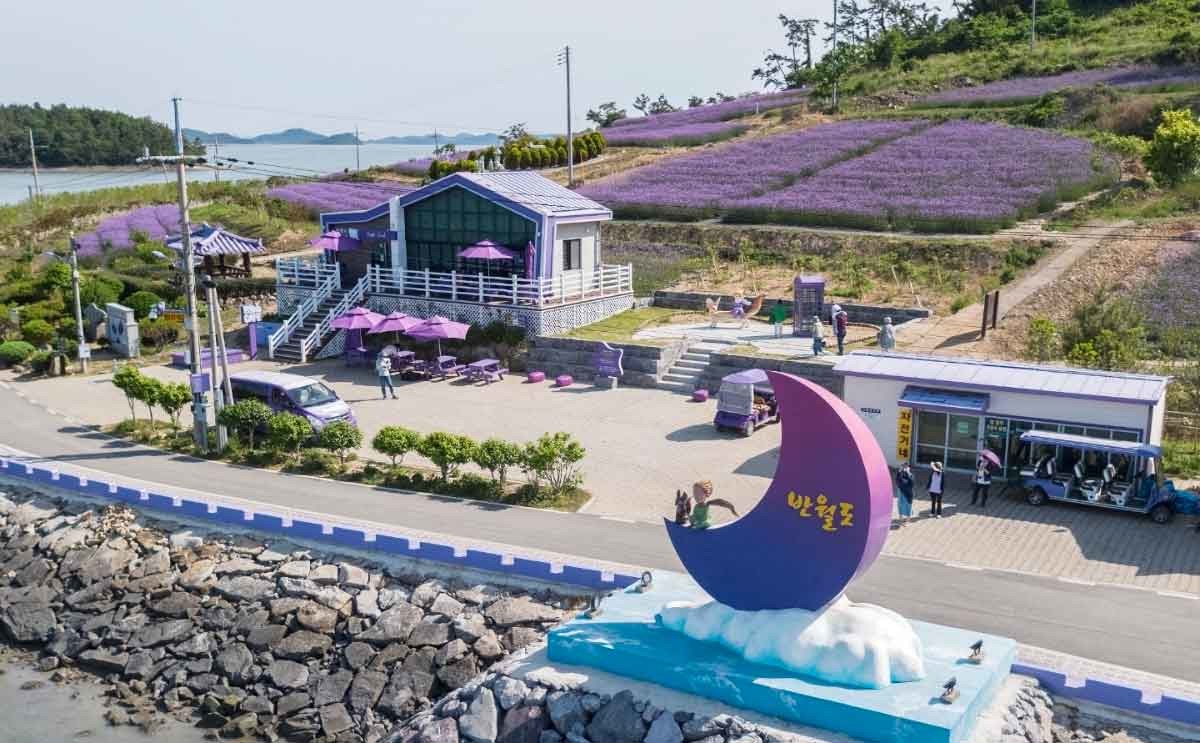 퍼플섬으로 불리는 신안군 반월.박지도 / 뉴스1