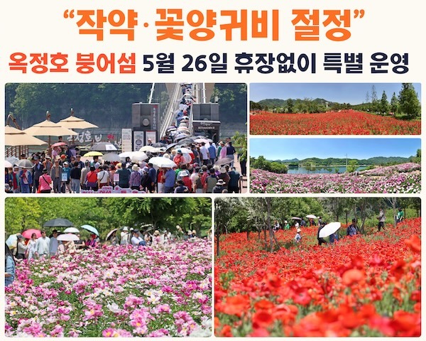 “작약·꽃양귀비 절정”임실 옥정호 붕어섬, 5월26일 휴장없이 특별운영