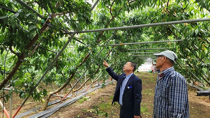 영광군, 고온기 시설원예 농가 현장기술지원 강화