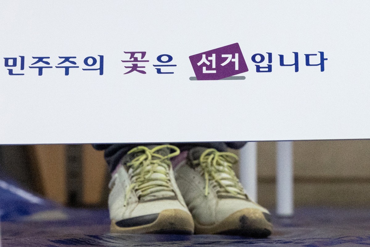 기사의 이해를 돕기 위한 사진 / 뉴스1