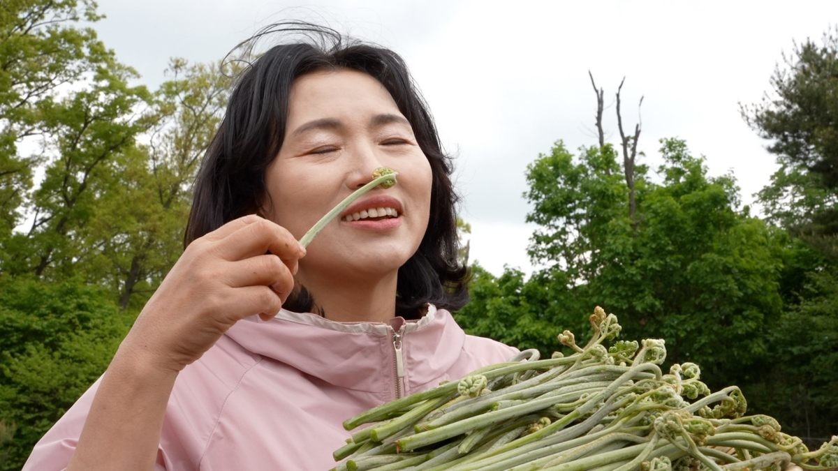 EBS1 '한국기행' 미리보기 페이지에서 제공하는 '나물로 252억' 편 자료 사진. / EBS1 제공