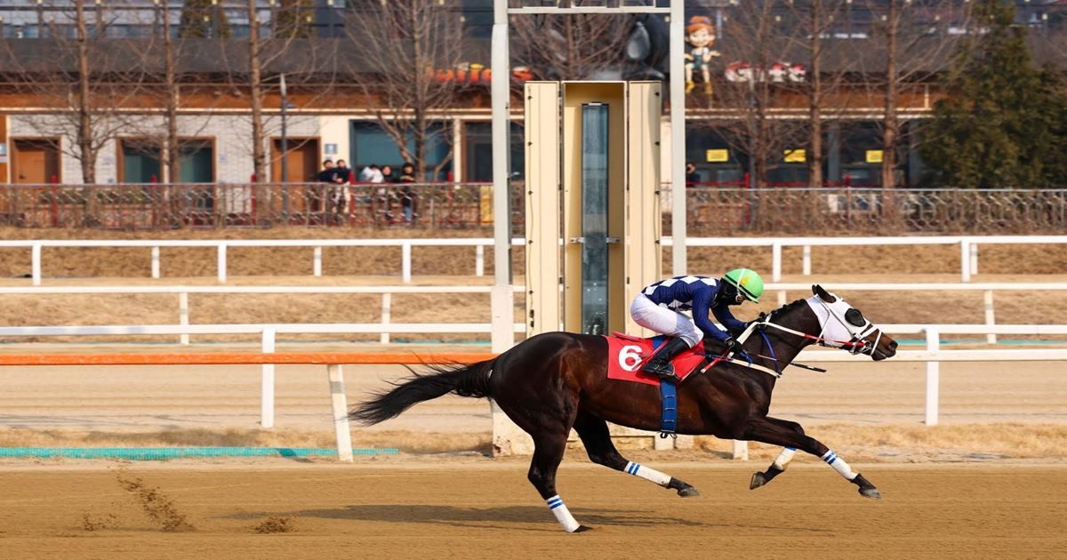 부산광역시장배 출전마...럴드경제배 결승전 통과 장면. / 사진제공=렛츠런파크 부산경남