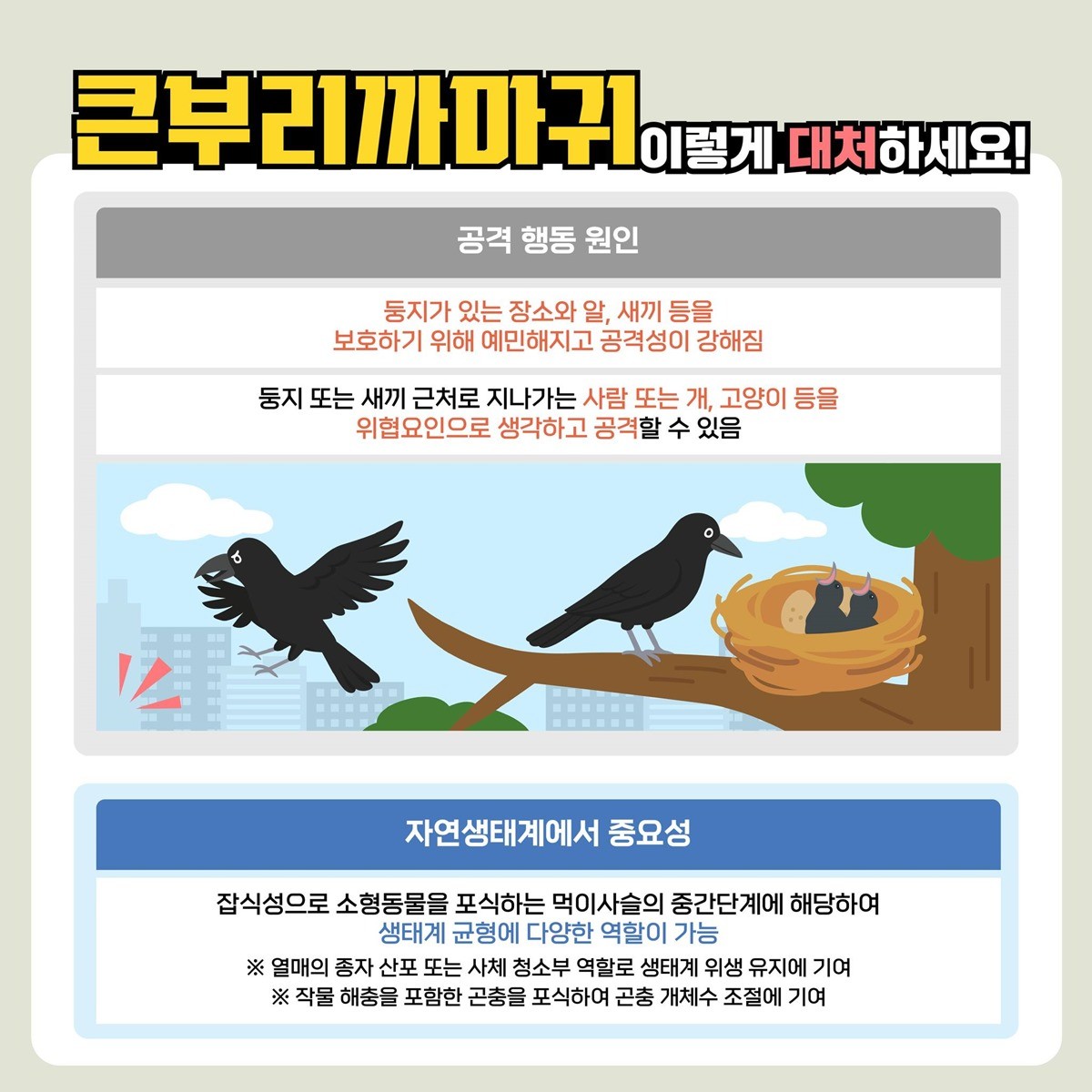 기후에너지환경부가 이미지로 제작한 큰부리까마귀 대처법 / 기후에너지환경부 제공