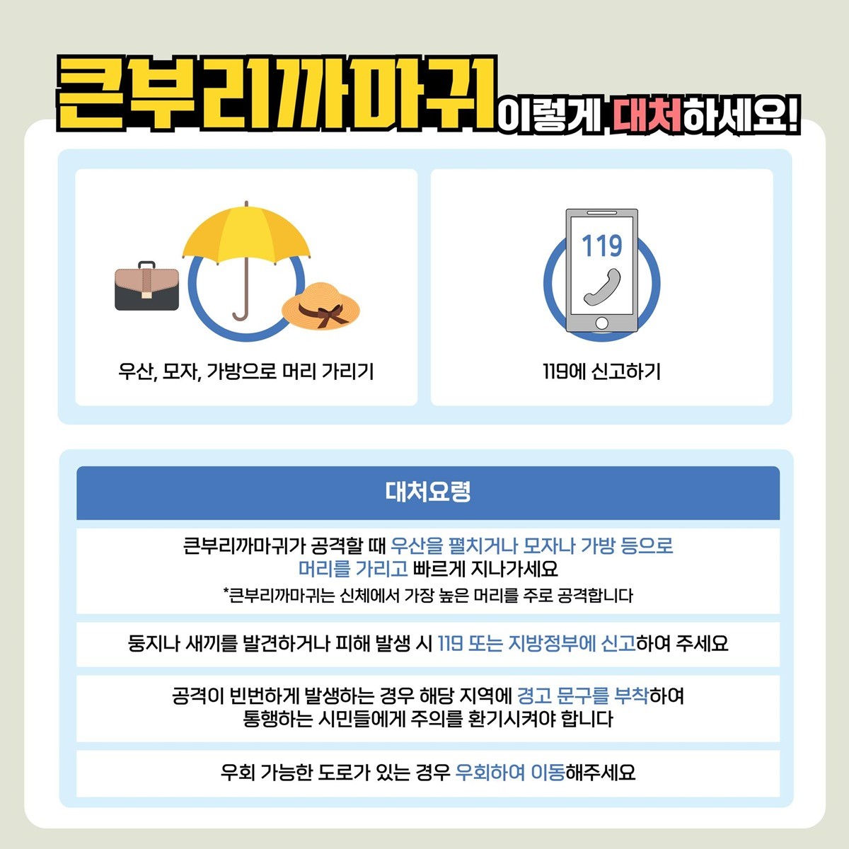 기후에너지환경부가 이미지로 제작한 큰부리까마귀 대처법 / 기후에너지환경부 제공