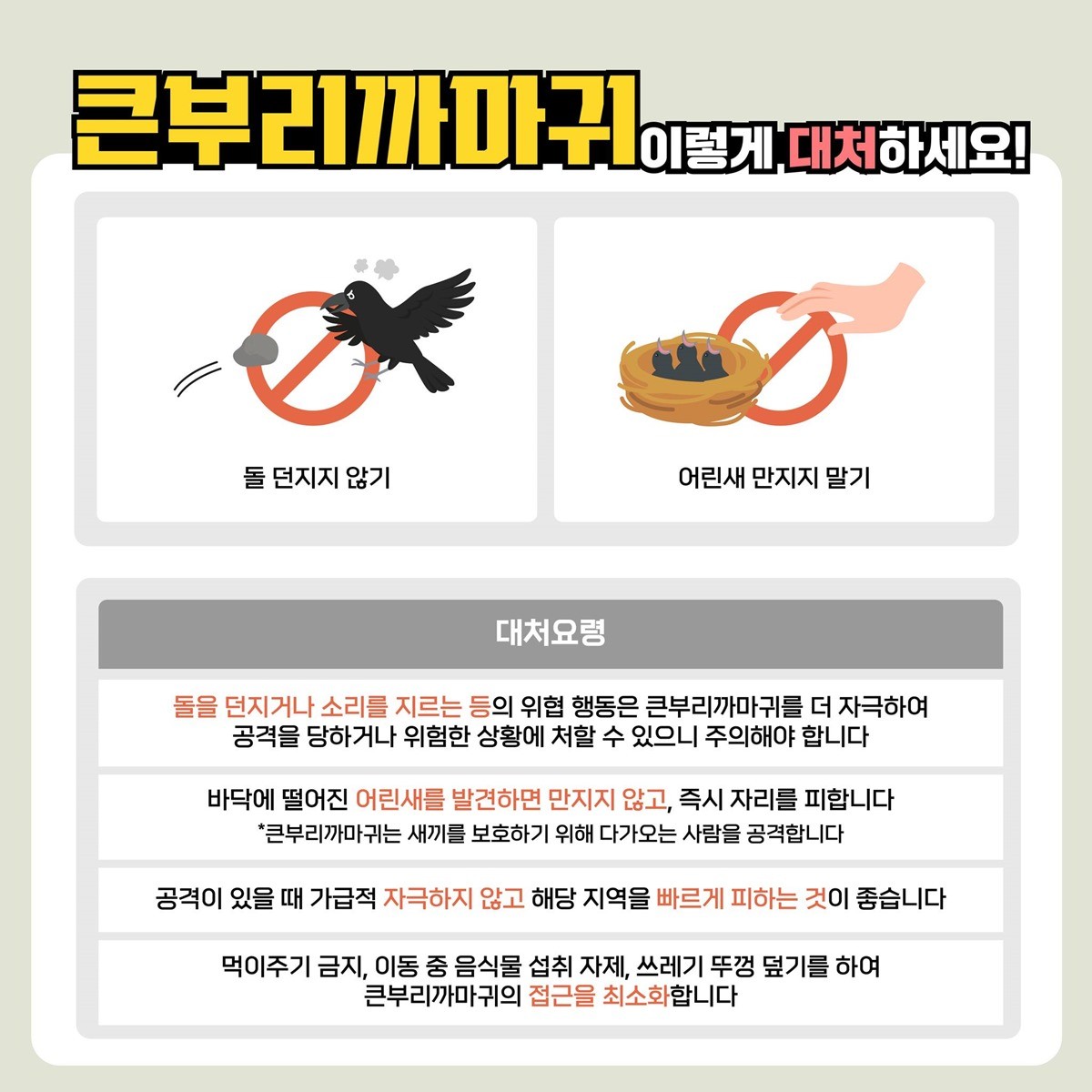 기후에너지환경부가 이미지로 제작한 큰부리까마귀 대처법 / 기후에너지환경부 제공