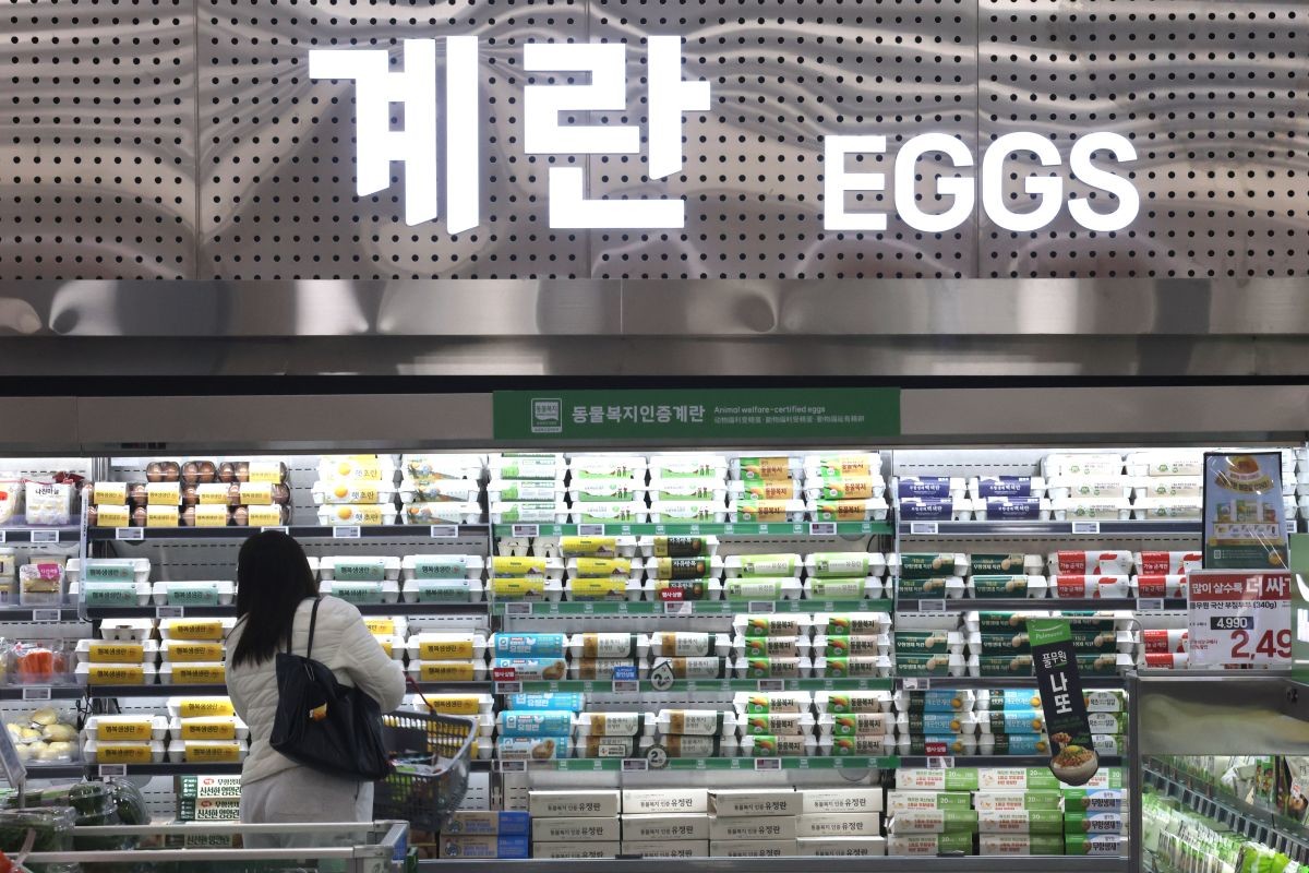 계란 코너. / 뉴스1