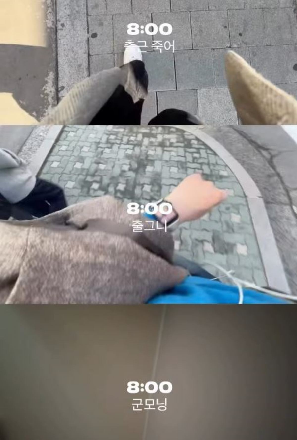 셋로그 캡처.