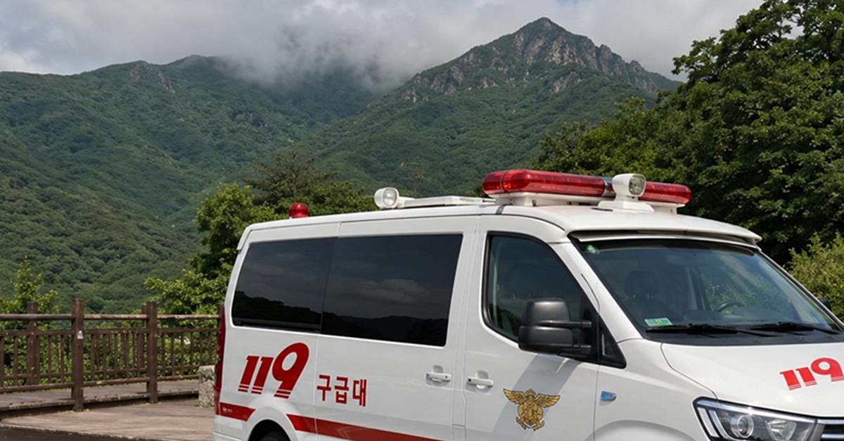 기사에 대한 이해를 돕기 위해 AI 툴로 제작한 자료 사진
