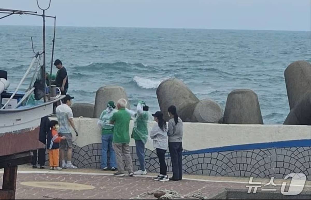 전날 오후 3시께 울산 동구 주전초등학교 인근 주전해안길에서 테트라포트 사이로 빠진 초등학생을 구조하고 있다.    구조된 학생은 큰 부상은 입지 않은 것으로 확인됐다.    구조를 마친 선거사무원들은 현장 상황이 정리된 뒤 다시 유세 일정에 합류한 것으로 알려졌다     / 조용식 후보 캠프 제공, 뉴스1