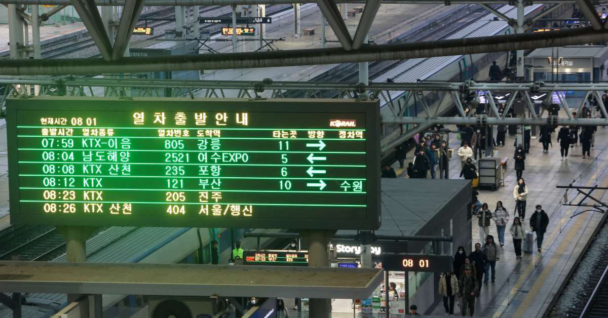 먹이주기 금지했는데도… 서울역에 비둘기 유독 많은 이유, 따로 있었다