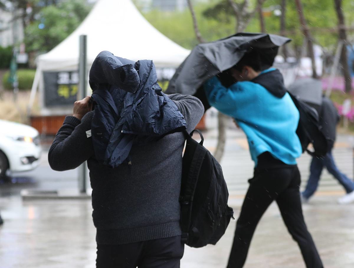 수증기 다량 품은 저기압 접근...날씨 돌변. 강한 남풍이 수증기를 몰고 오면서 제주와 남해안, 지리산 부근에 많은 비가 집중될 전망이다 / 뉴스1