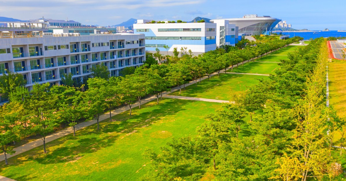 오륙도·부산항대교 다 보인다…약 2만 평 잔디밭 펼쳐진 숨은 '부산 명소'